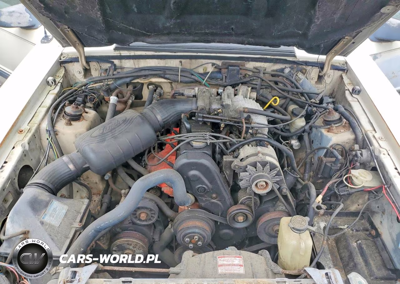 1987 Ford Mustang Lx VIN:1FABP41A9HF138251 - 11