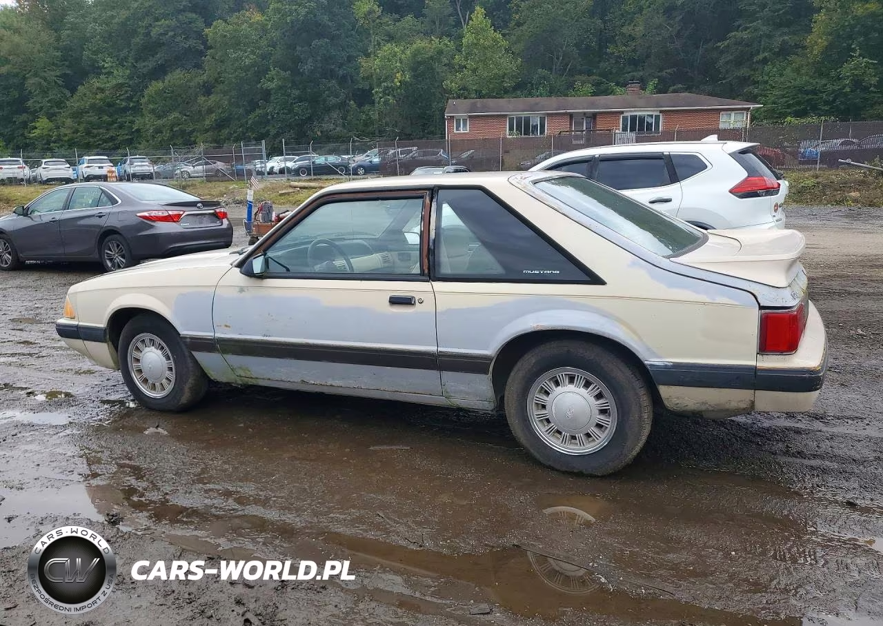 1987 Ford Mustang Lx VIN:1FABP41A9HF138251 - 2