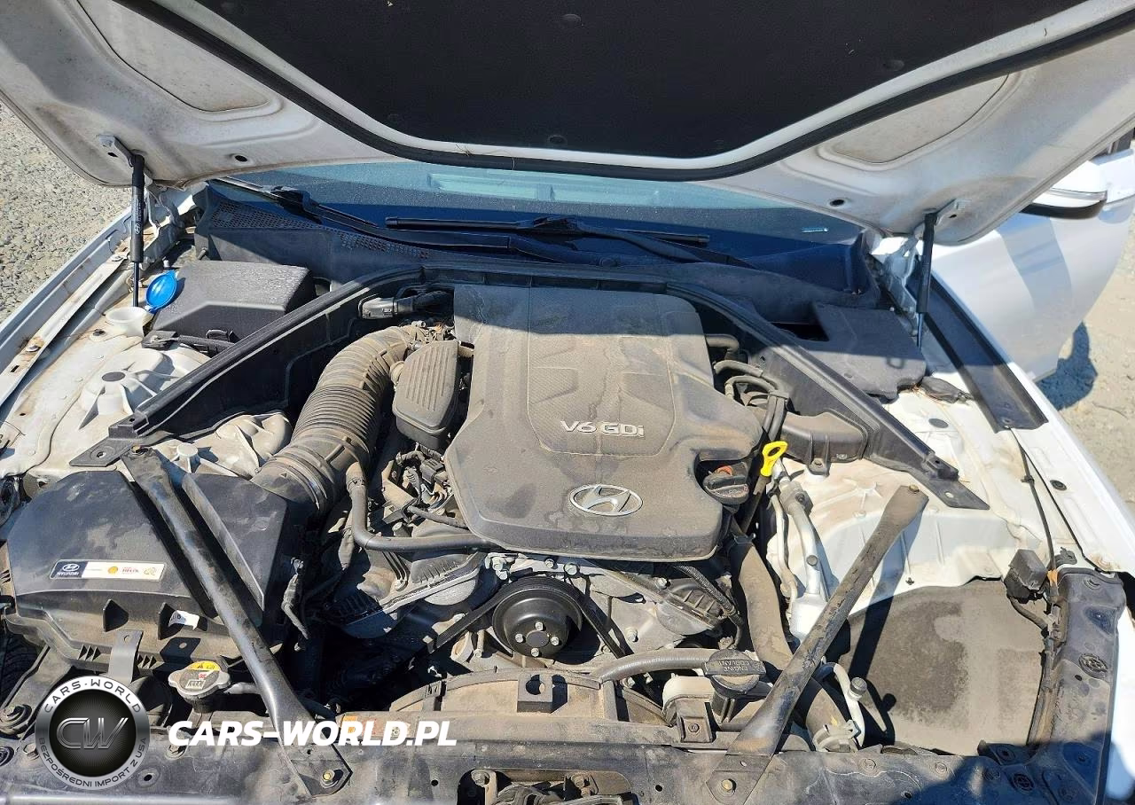2015 Hyundai Genesis 3.8L VIN:KMHGN4JE2FU040885 - 11