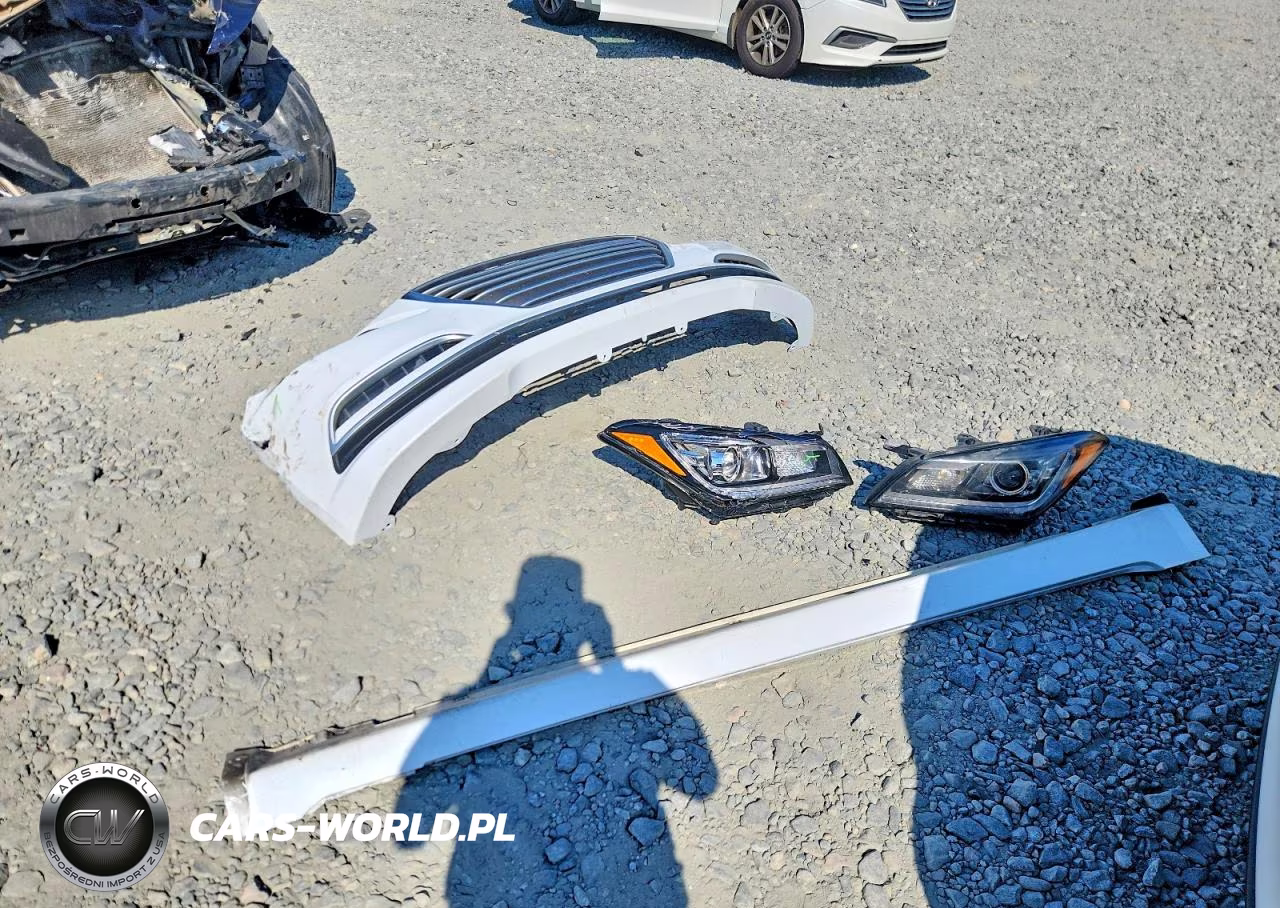 2015 Hyundai Genesis 3.8L VIN:KMHGN4JE2FU040885 - 12