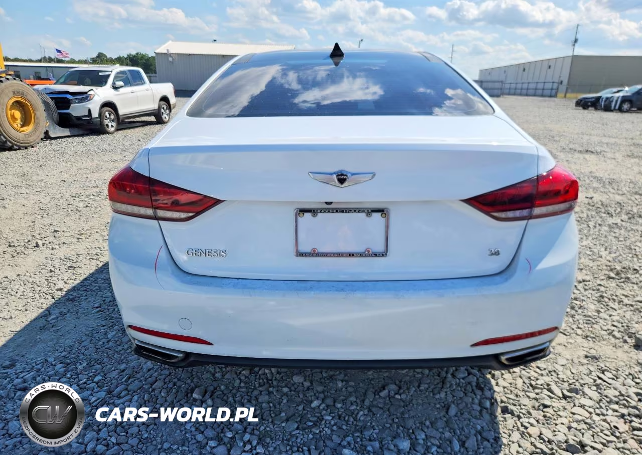 2015 Hyundai Genesis 3.8L VIN:KMHGN4JE2FU040885 - 6