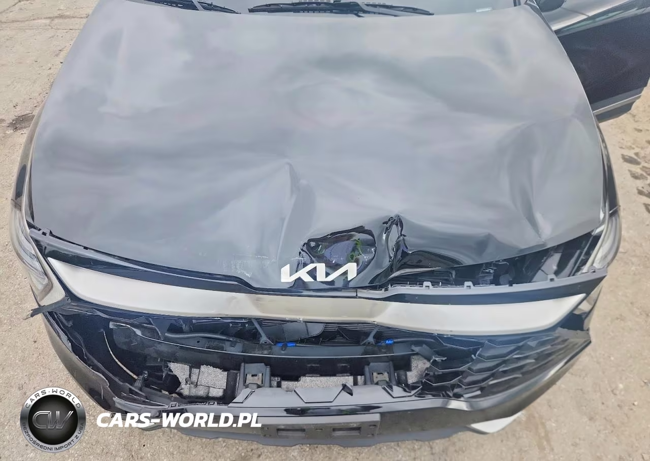2025 Kia Sportage Ex VIN:5XYK3CDF4SG300346 - 12