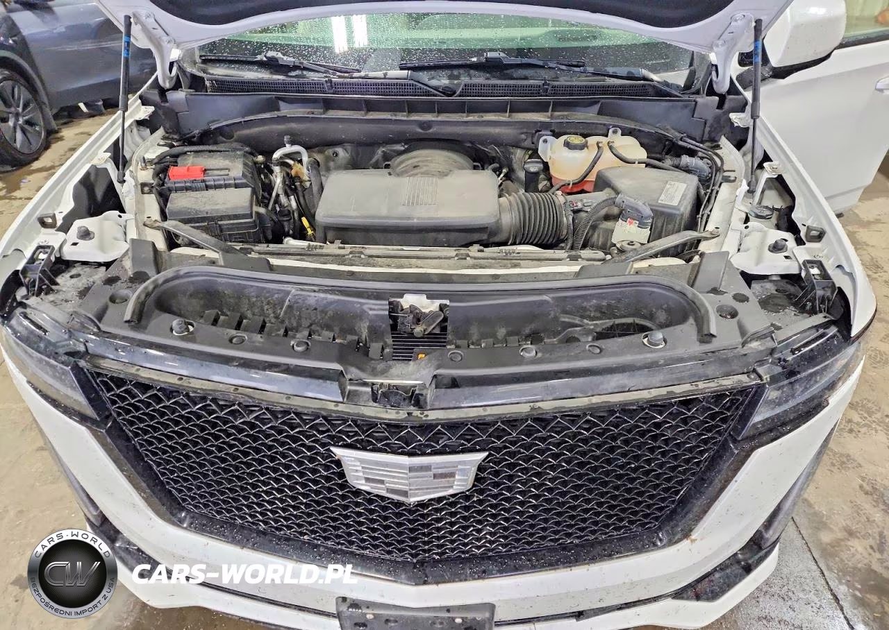 2021 Cadillac Escalade Esv Sport Platinum VIN:1GYS4RKL2MR437387 - 12