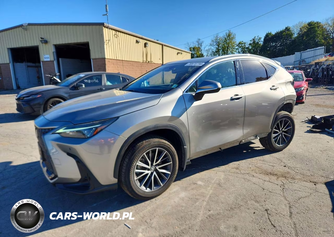 2023 Lexus Nx 350 VIN:2T2GGCEZ6PC029131 - 1