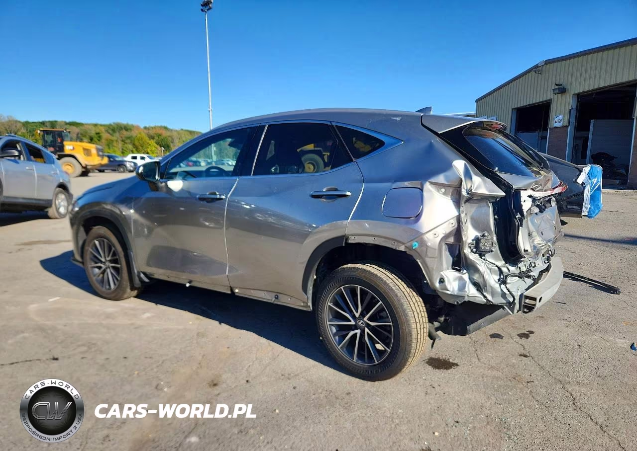 2023 Lexus Nx 350 VIN:2T2GGCEZ6PC029131 - 2