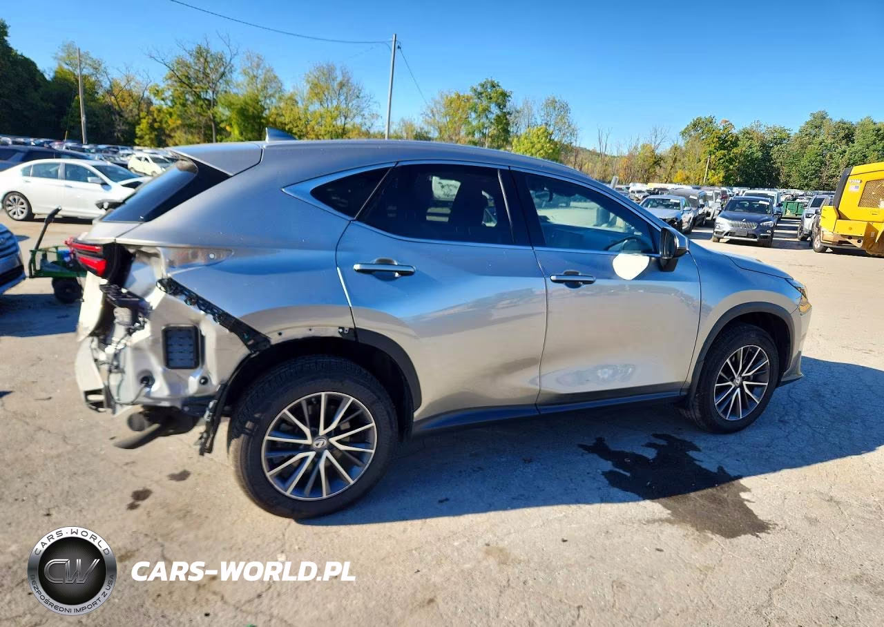 2023 Lexus Nx 350 VIN:2T2GGCEZ6PC029131 - 3