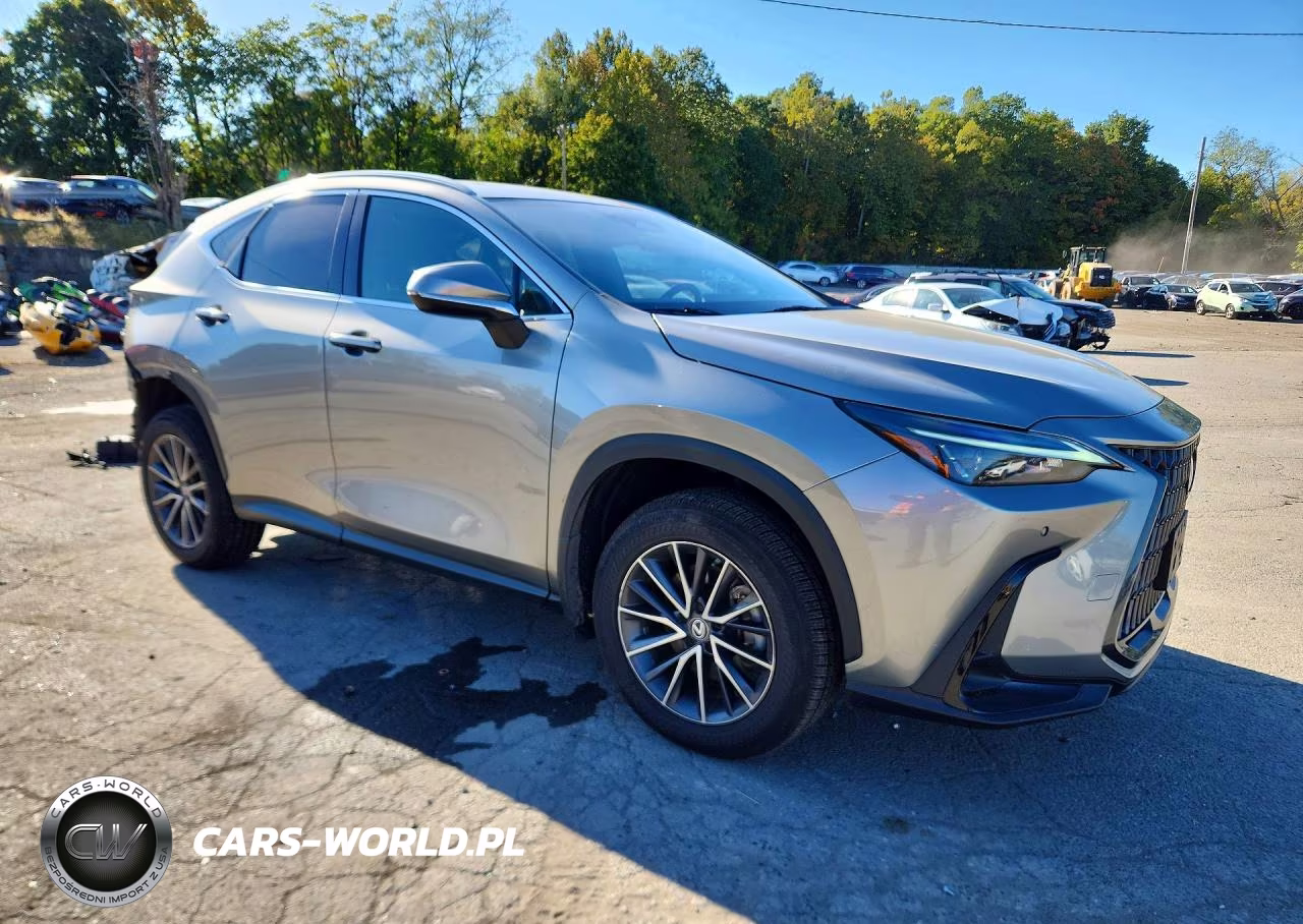 2023 Lexus Nx 350 VIN:2T2GGCEZ6PC029131 - 4