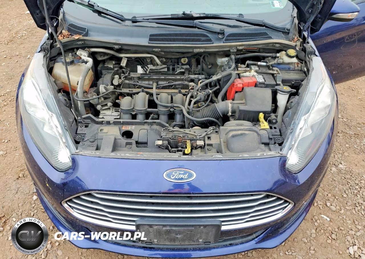 2016 Ford Fiesta Se VIN:3FADP4BJ0GM102938 - 11