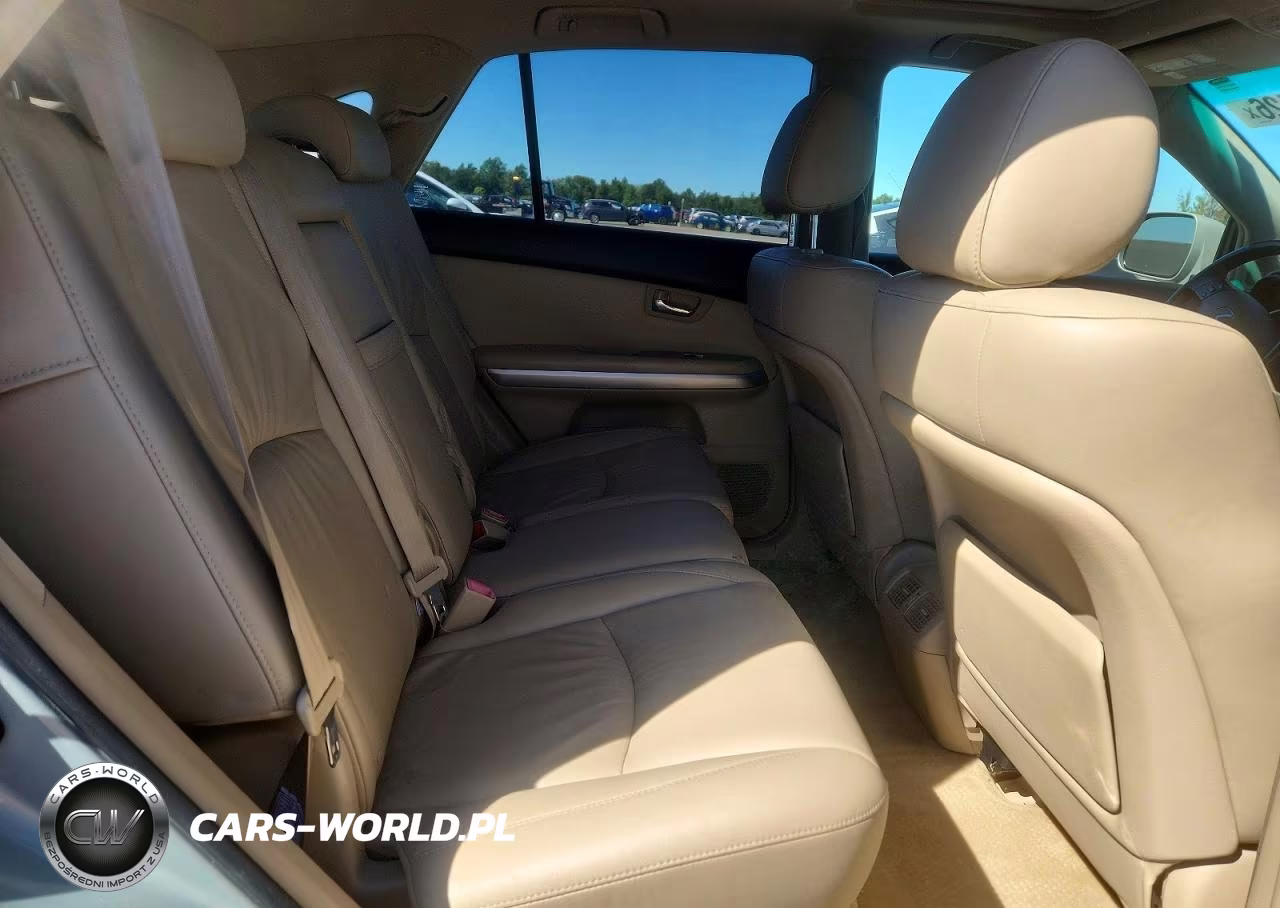 2006 Lexus Rx 400 VIN:JTJHW31U360008247 - 10