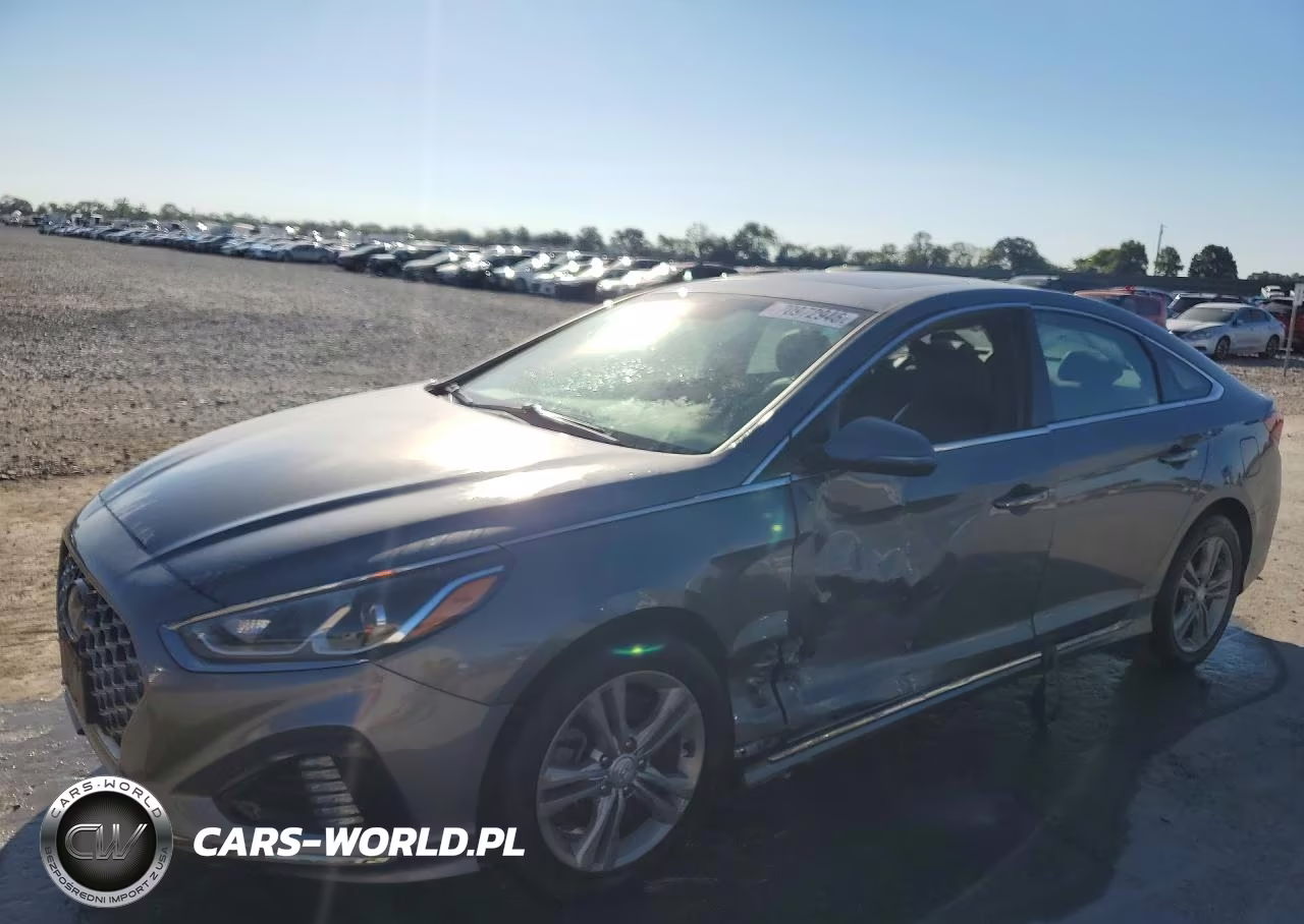 2019 Hyundai Sonata Sport VIN:5NPE34AFXKH805369 - 1