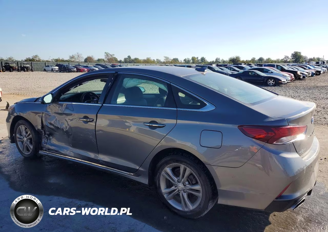2019 Hyundai Sonata Sport VIN:5NPE34AFXKH805369 - 2