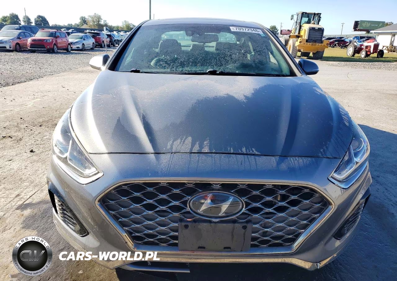 2019 Hyundai Sonata Sport VIN:5NPE34AFXKH805369 - 5