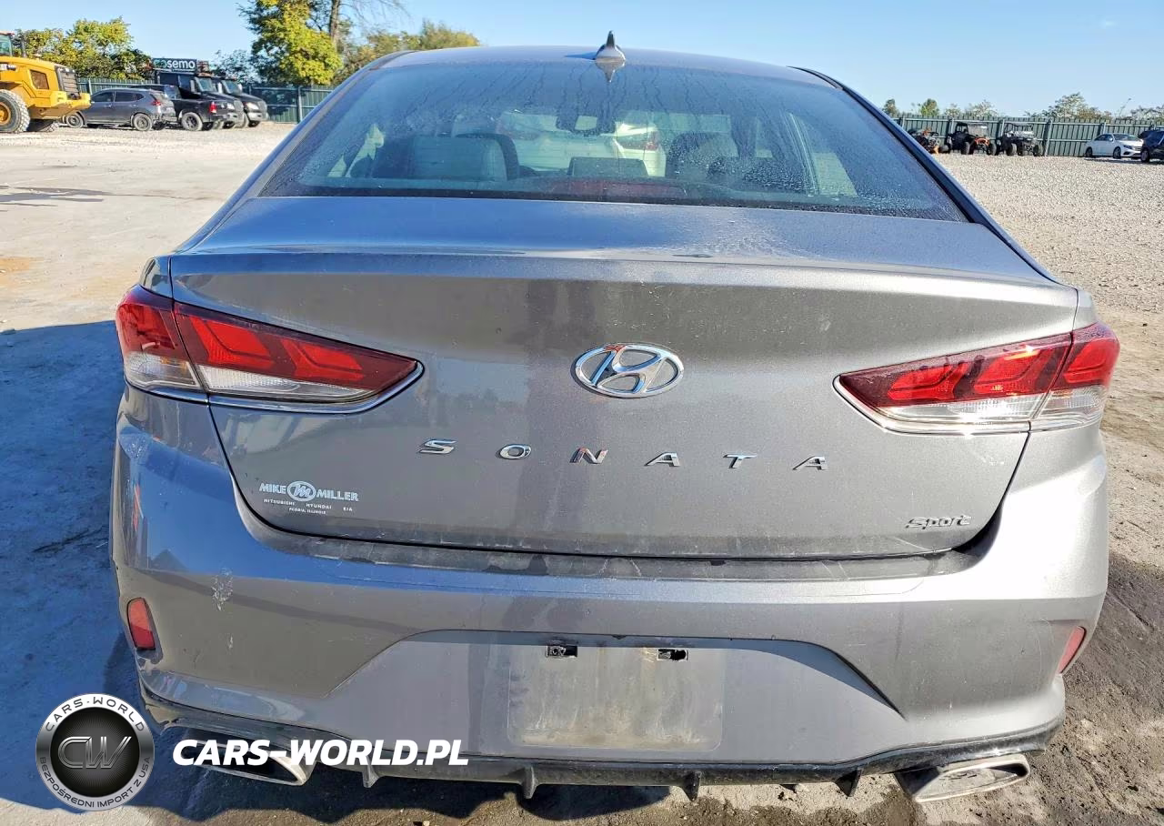 2019 Hyundai Sonata Sport VIN:5NPE34AFXKH805369 - 6