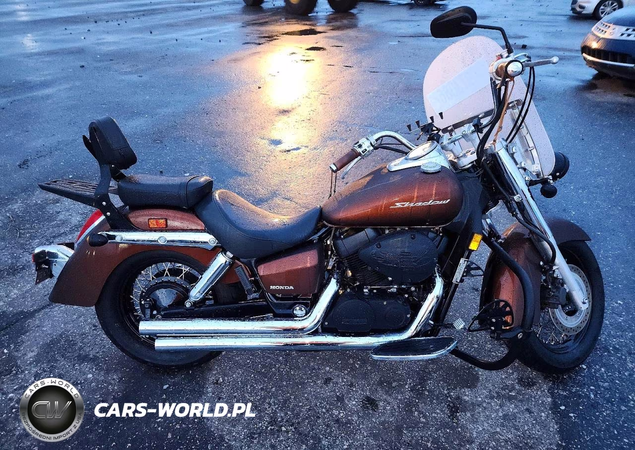 2019 Honda Vt750 C VIN:JH2RC5006KK500593 - 1