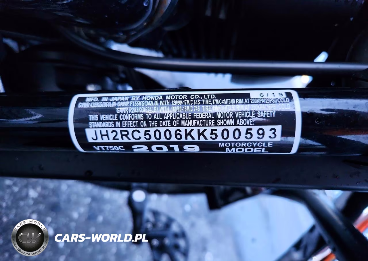 2019 Honda Vt750 C VIN:JH2RC5006KK500593 - 9