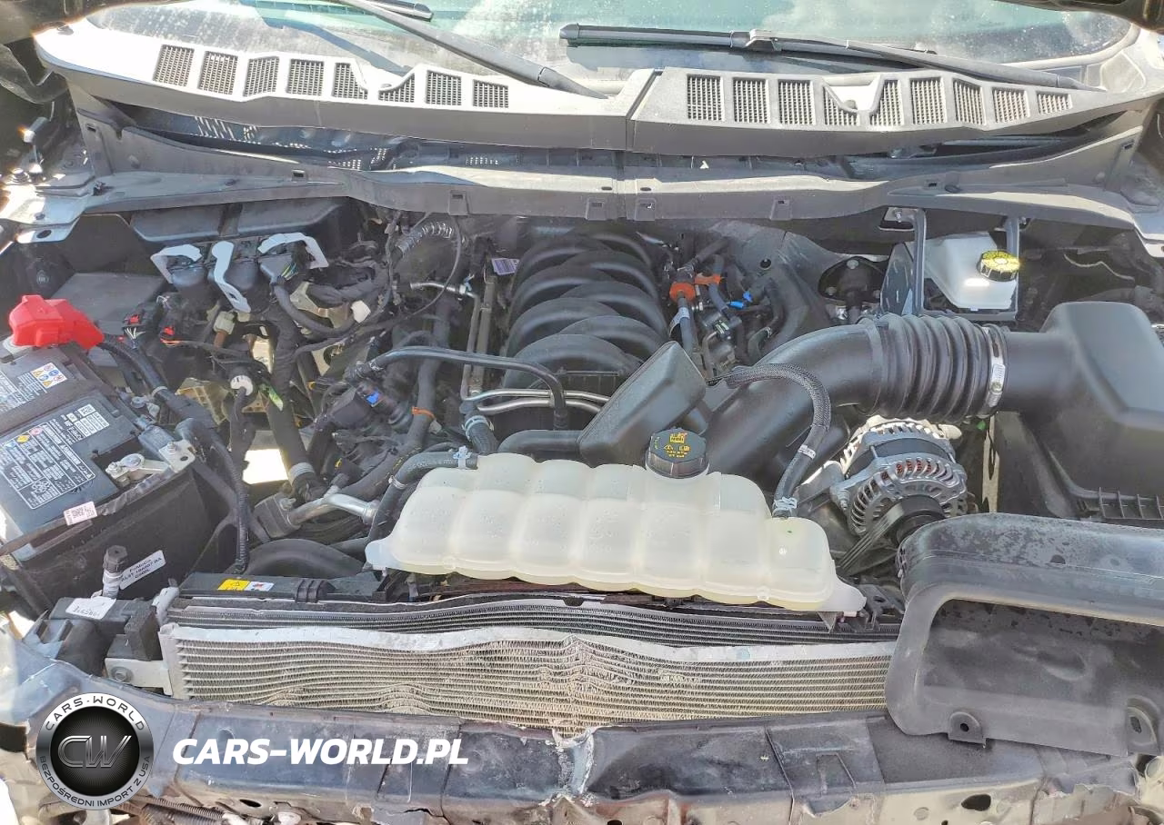 2025 Ford F-150 Tremor VIN:1FTFW4L59SFB65116 - 11