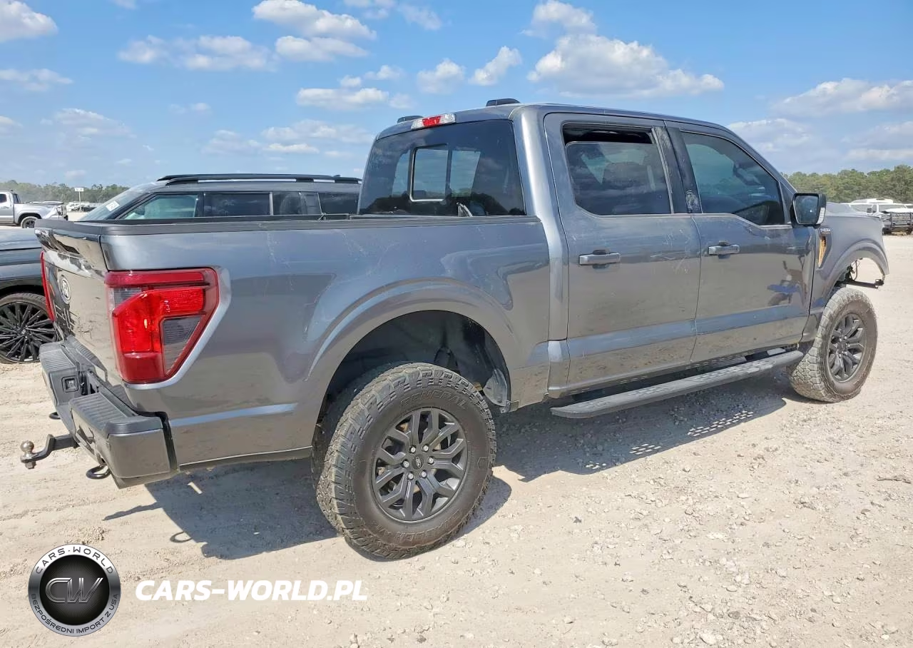 2025 Ford F-150 Tremor VIN:1FTFW4L59SFB65116 - 3