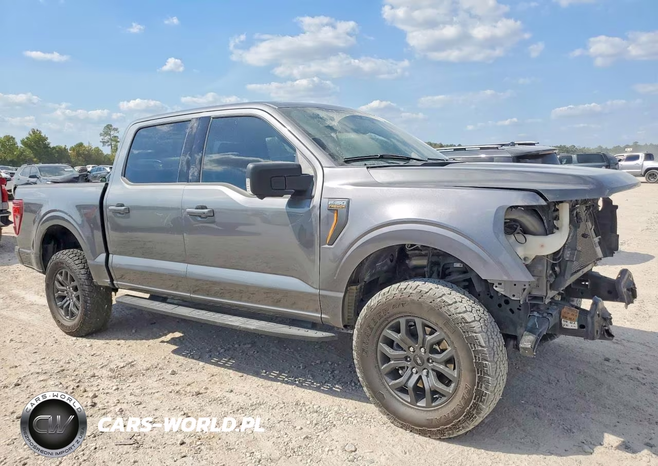 2025 Ford F-150 Tremor VIN:1FTFW4L59SFB65116 - 4