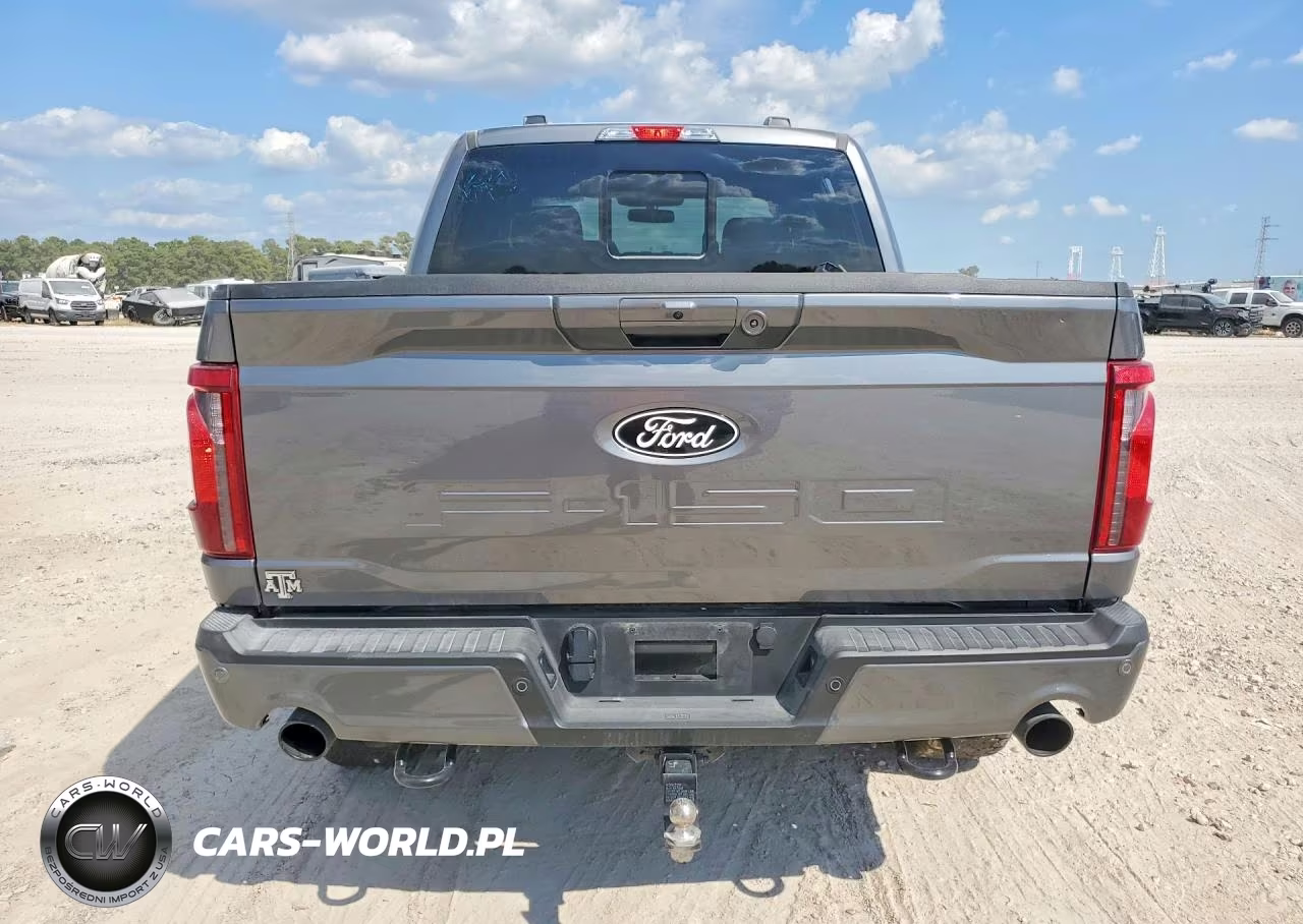 2025 Ford F-150 Tremor VIN:1FTFW4L59SFB65116 - 6