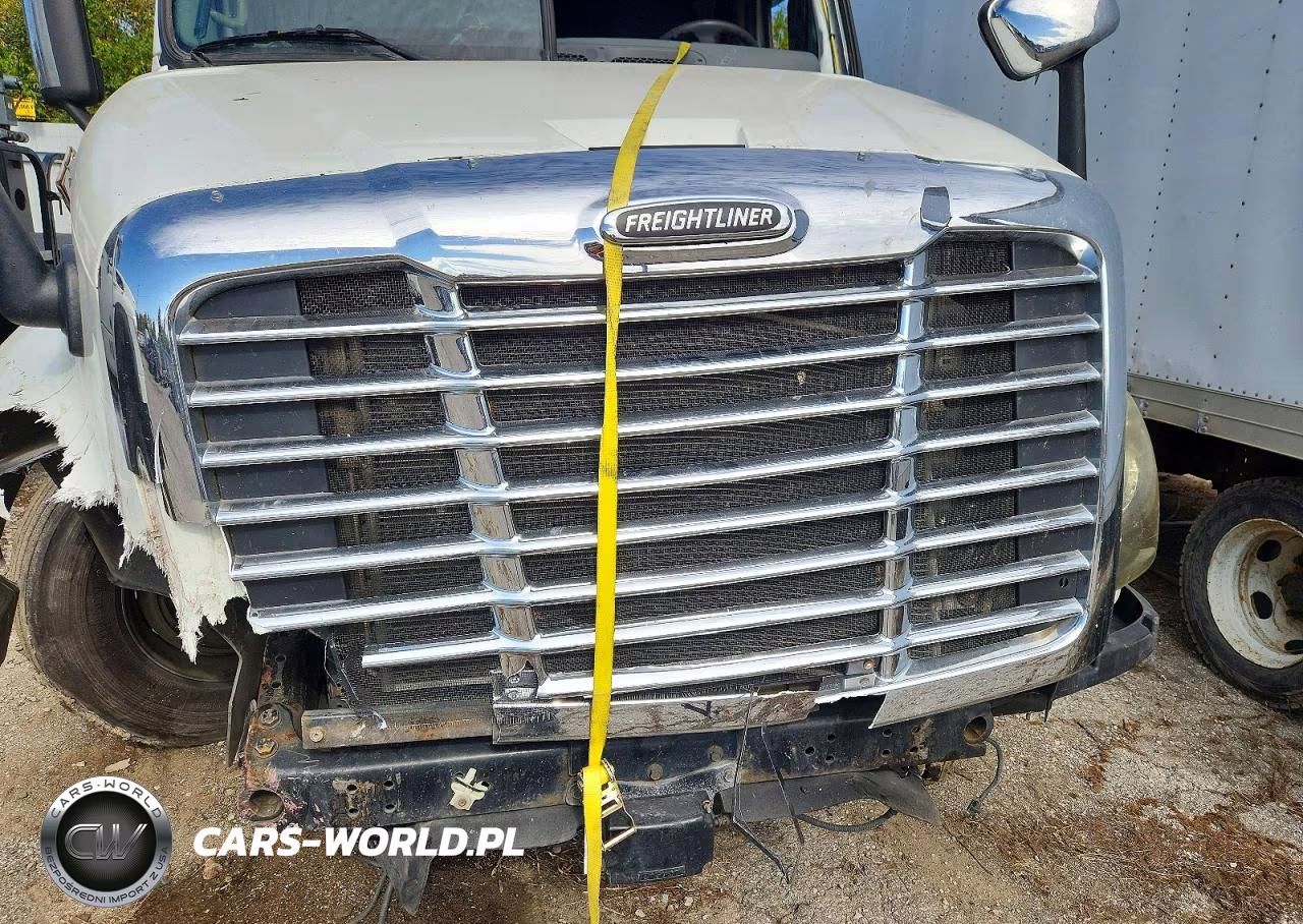 2014 Freightliner Cascadia 125 VIN:3AKJGLD59ESFT6233 - 11