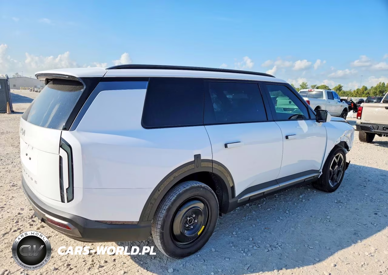2027 Kia Telluride Ex VIN:5XYPC5S13VG037098 - 3