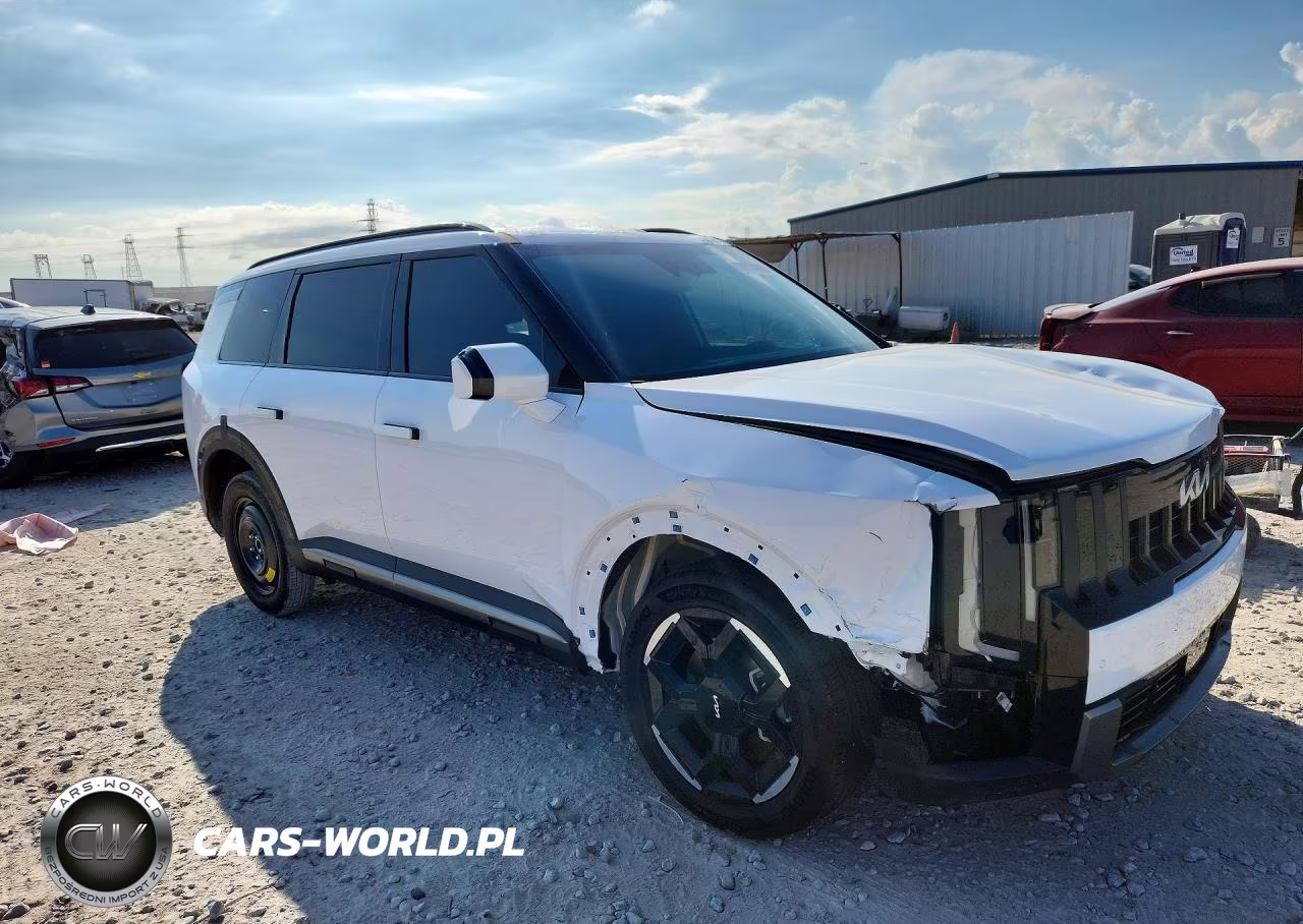 2027 Kia Telluride Ex VIN:5XYPC5S13VG037098 - 4