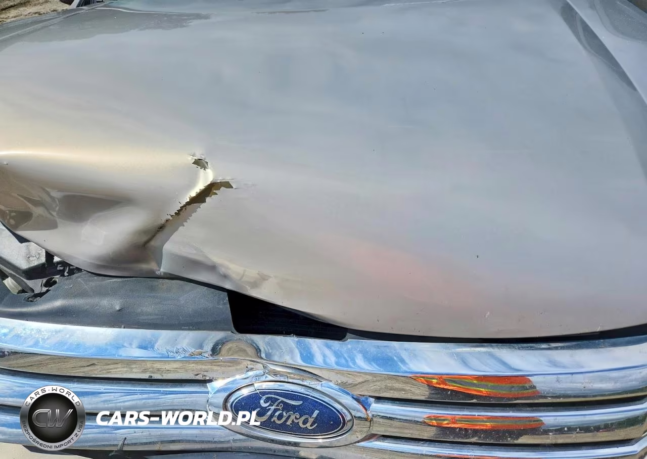 2009 Ford Fusion S VIN:3FAHP06Z89R143222 - 11