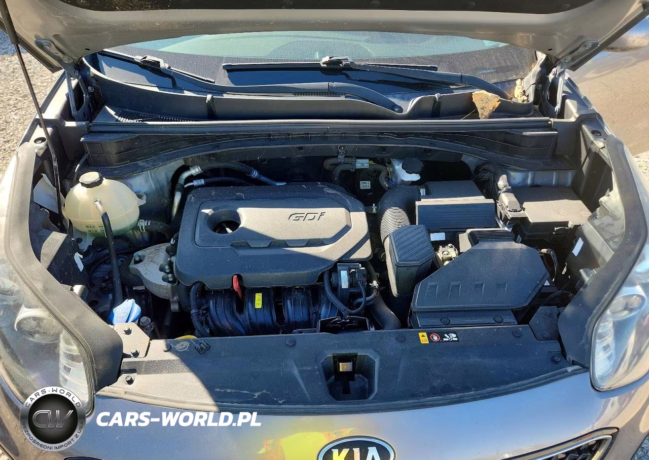 2019 Kia Sportage Lx VIN:KNDPMCAC9K7517093 - 12