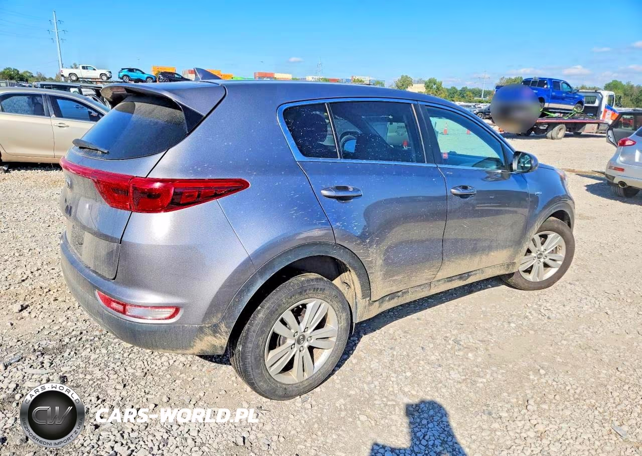 2019 Kia Sportage Lx VIN:KNDPMCAC9K7517093 - 3
