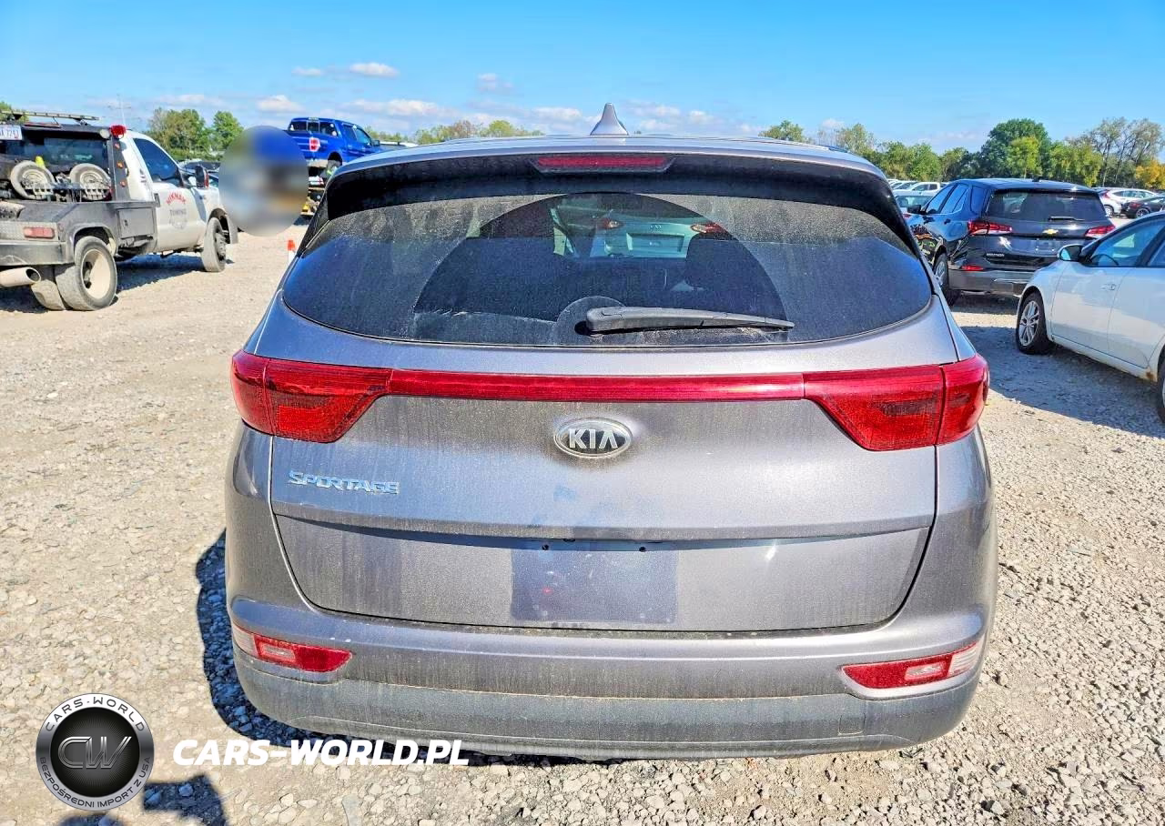 2019 Kia Sportage Lx VIN:KNDPMCAC9K7517093 - 6