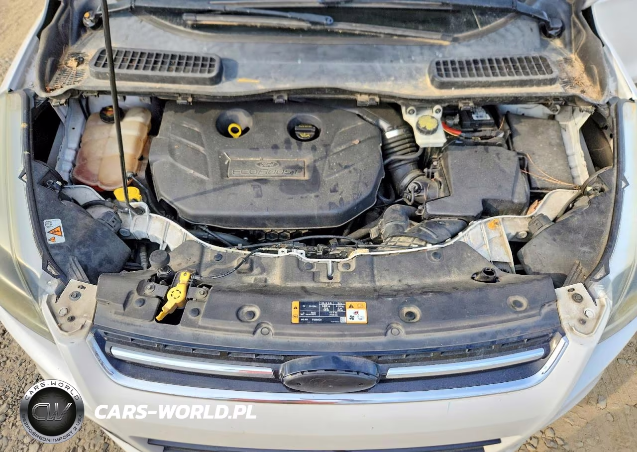 2016 Ford Escape Titanium VIN:1FMCU0J96GUB30667 - 12