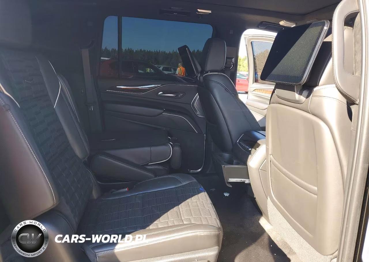 2023 Cadillac Escalade Esv Premium Luxury Platinum VIN:1GYS3MKL6PR100327 - 10