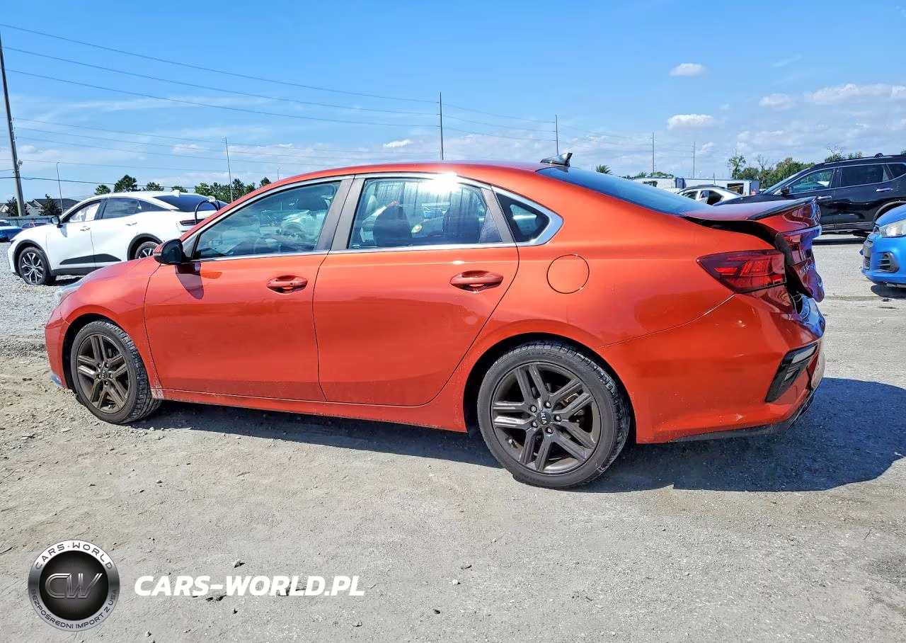 2019 Kia Forte Ex VIN:3KPF54AD0KE068815 - 2