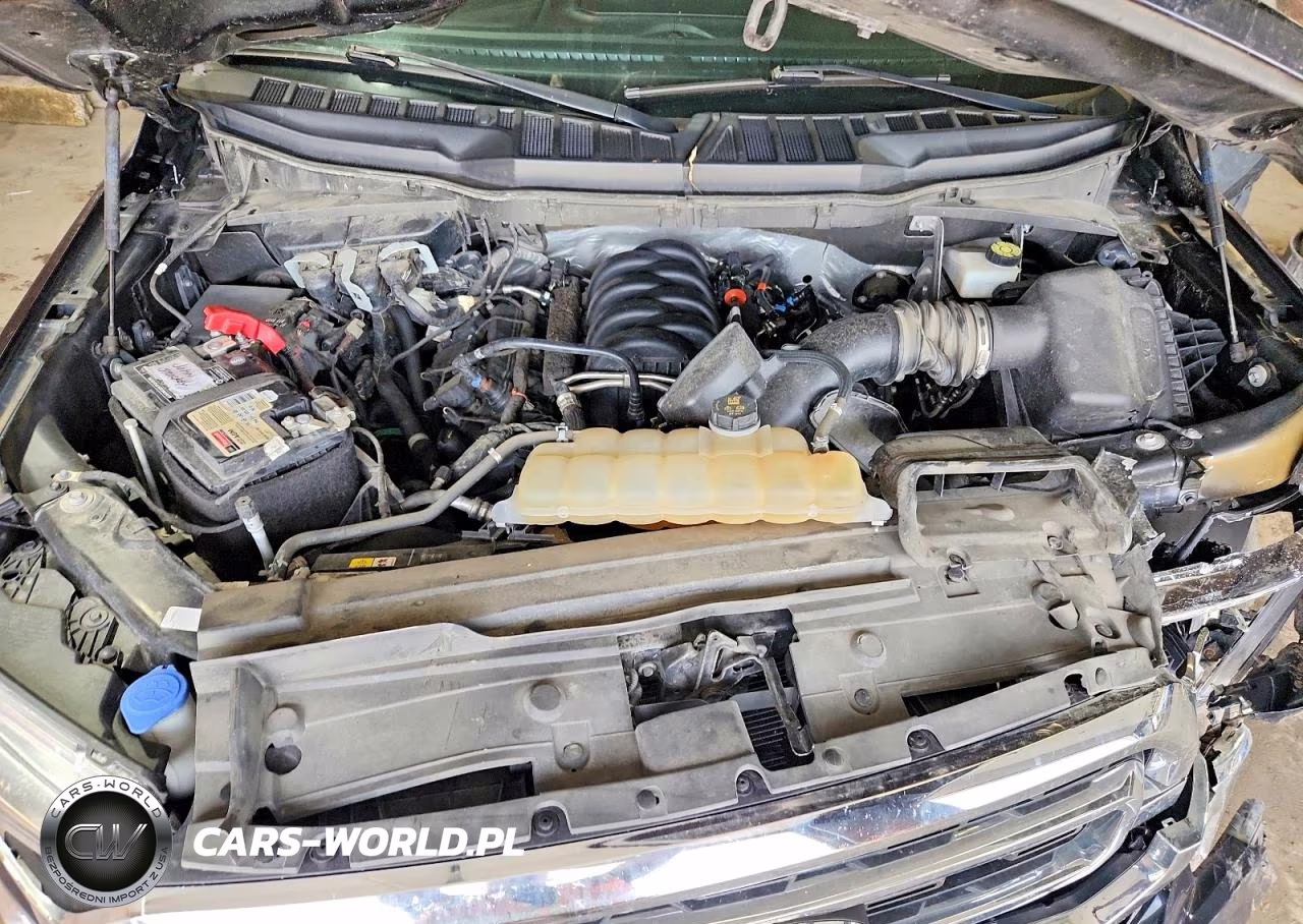 2021 Ford F150 Supercrew VIN:1FTFW1E53MKD31586 - 11