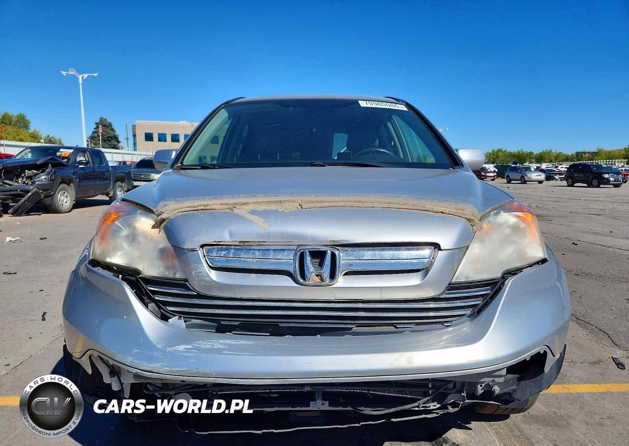 2009 Honda Cr-V Exl VIN:JHLRE48729C005880 - 5