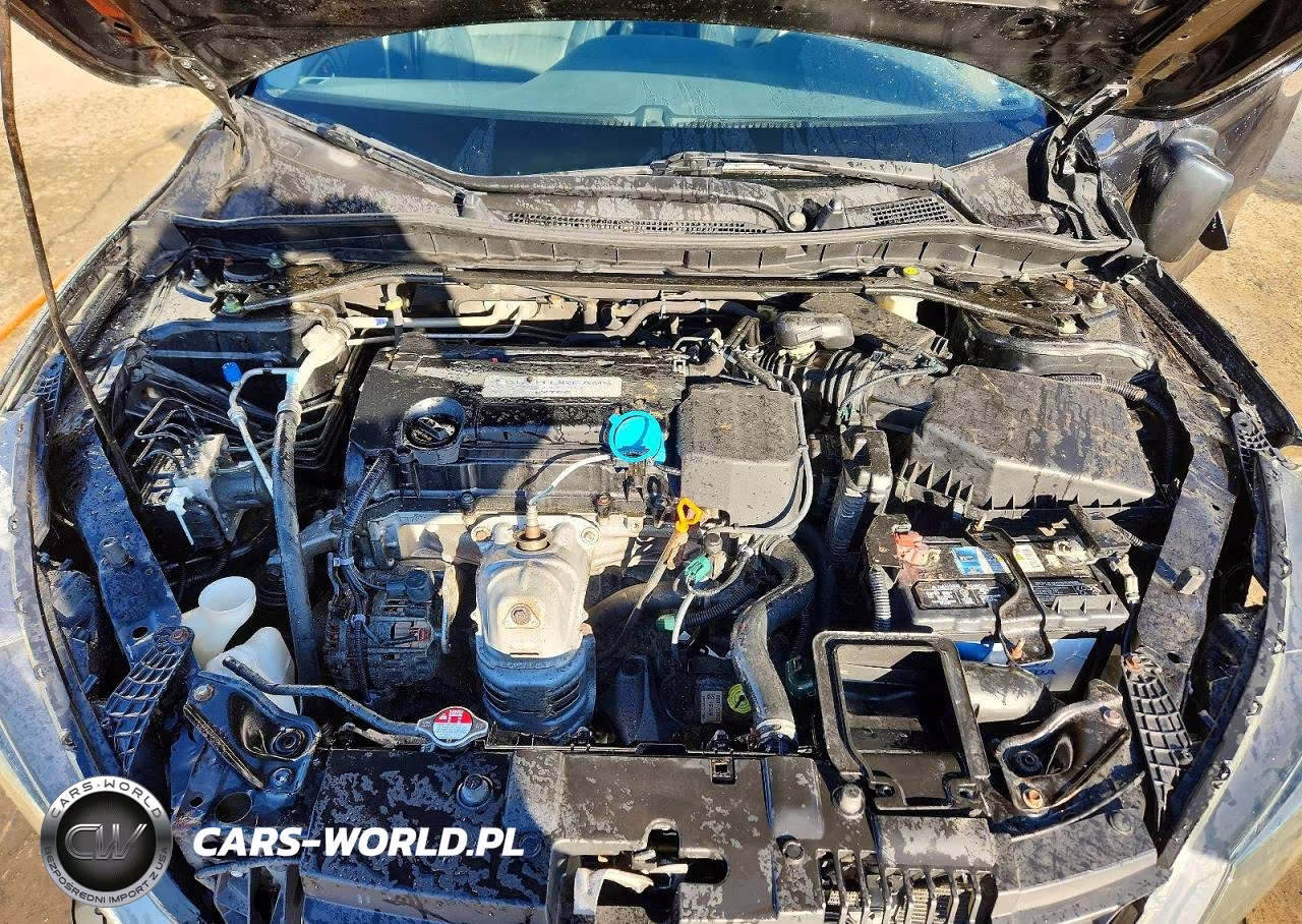 2014 Honda Accord Exl VIN:1HGCR2F83EA303126 - 11