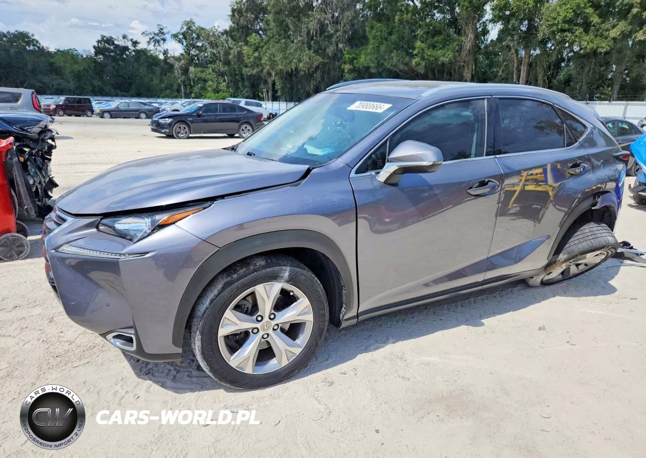 2017 Lexus Nx 200T Base VIN:JTJYARBZ1H2080051 - 1