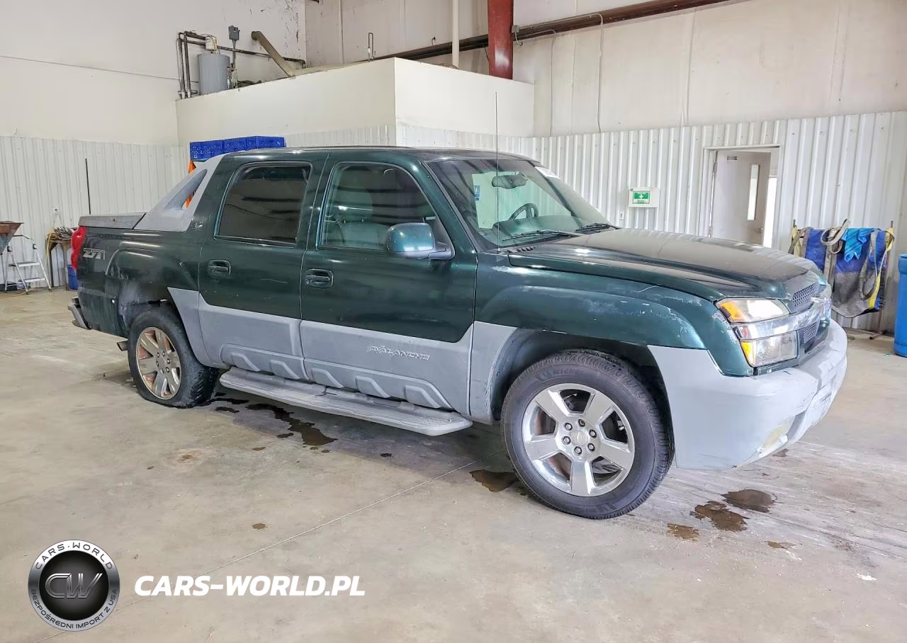 2002 Chevrolet Avalanche K1500 VIN:3GNEK13T72G192146 - 4