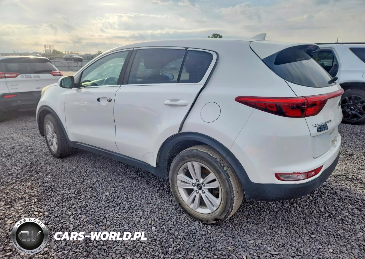 2019 Kia Sportage Lx VIN:KNDPM3AC2K7554650 - 2