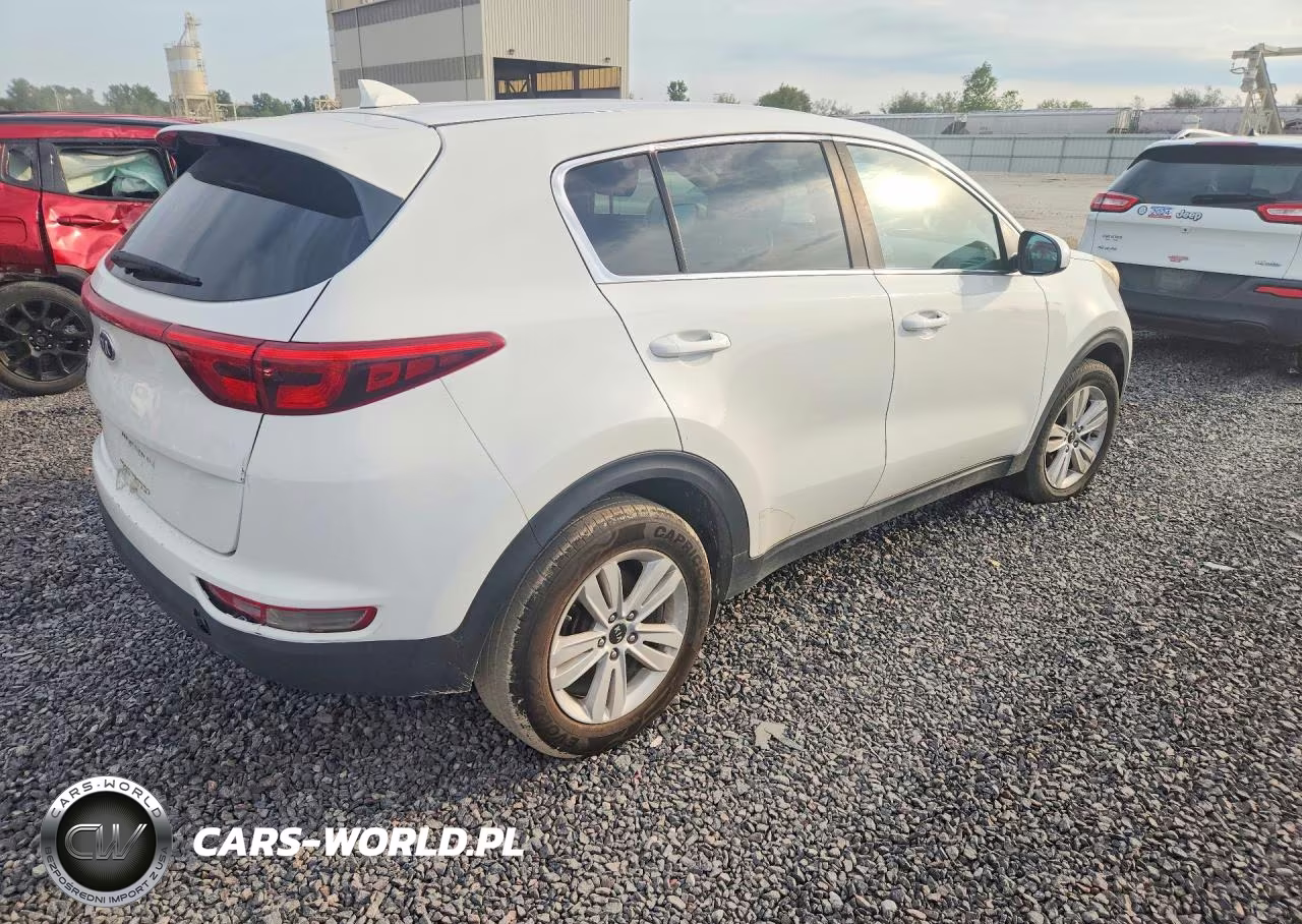 2019 Kia Sportage Lx VIN:KNDPM3AC2K7554650 - 3