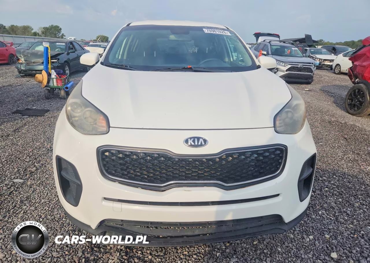 2019 Kia Sportage Lx VIN:KNDPM3AC2K7554650 - 5