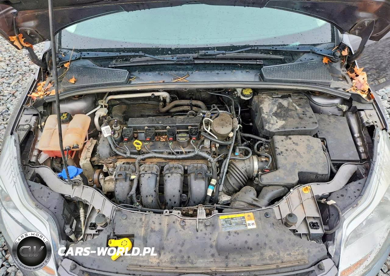2014 Ford Focus Se VIN:1FADP3K21EL271044 - 11