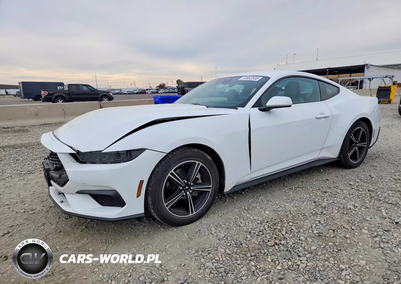 2025 Ford Mustang VIN:1FA6P8TH8S5131260 - 1