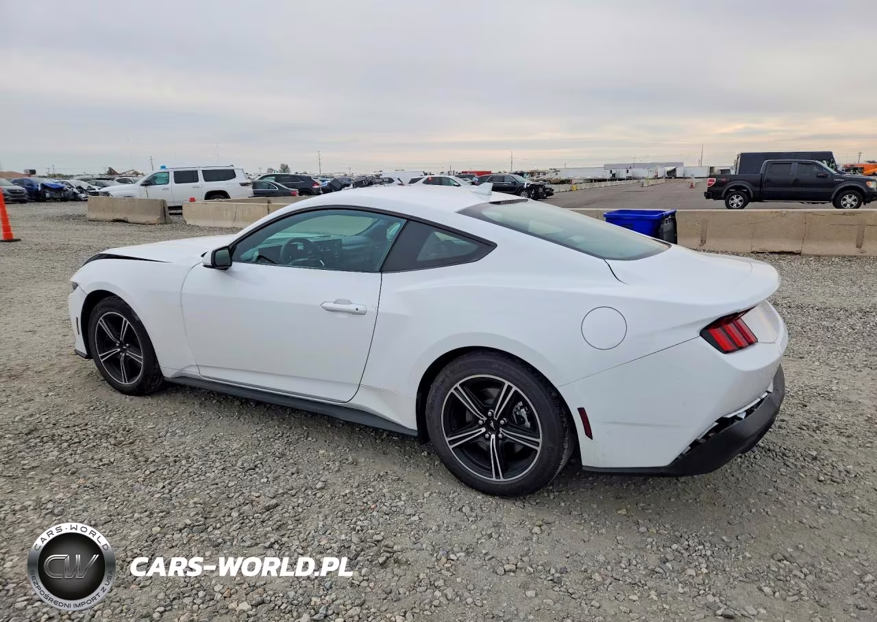 2025 Ford Mustang VIN:1FA6P8TH8S5131260 - 2