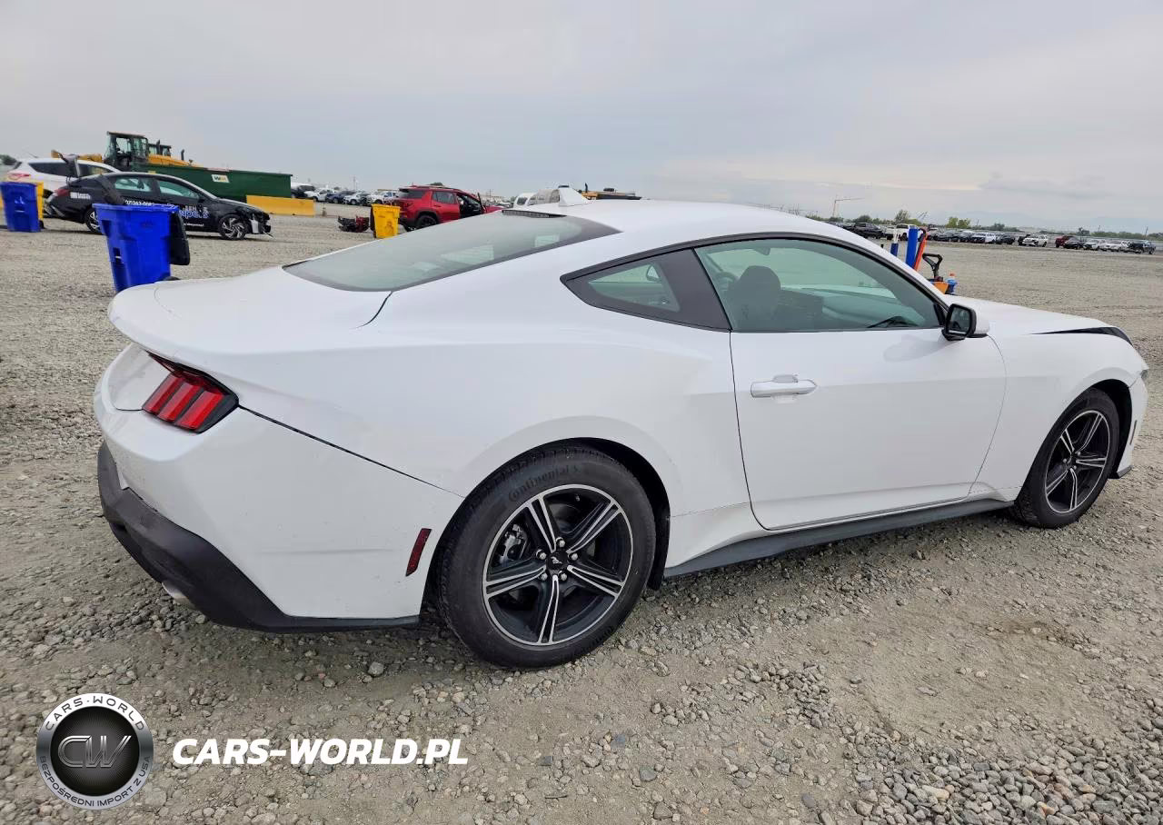 2025 Ford Mustang VIN:1FA6P8TH8S5131260 - 3