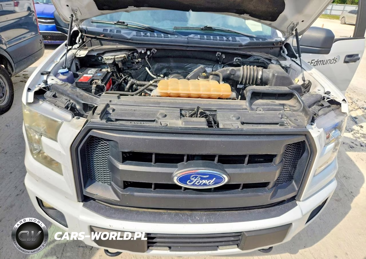 2016 Ford F150 Supercrew VIN:1FTEW1EF1GFB64596 - 12