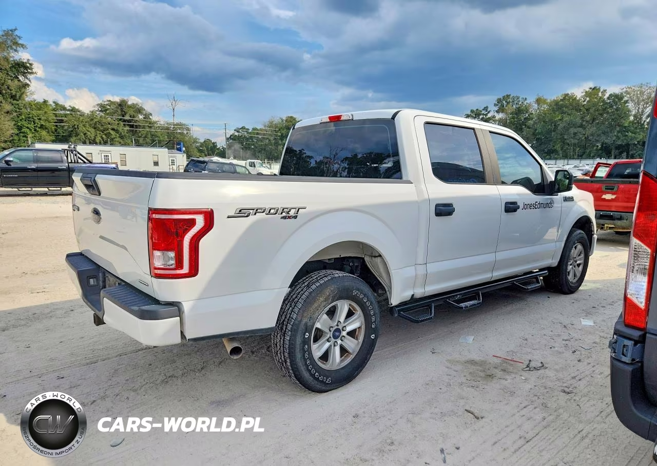 2016 Ford F150 Supercrew VIN:1FTEW1EF1GFB64596 - 3