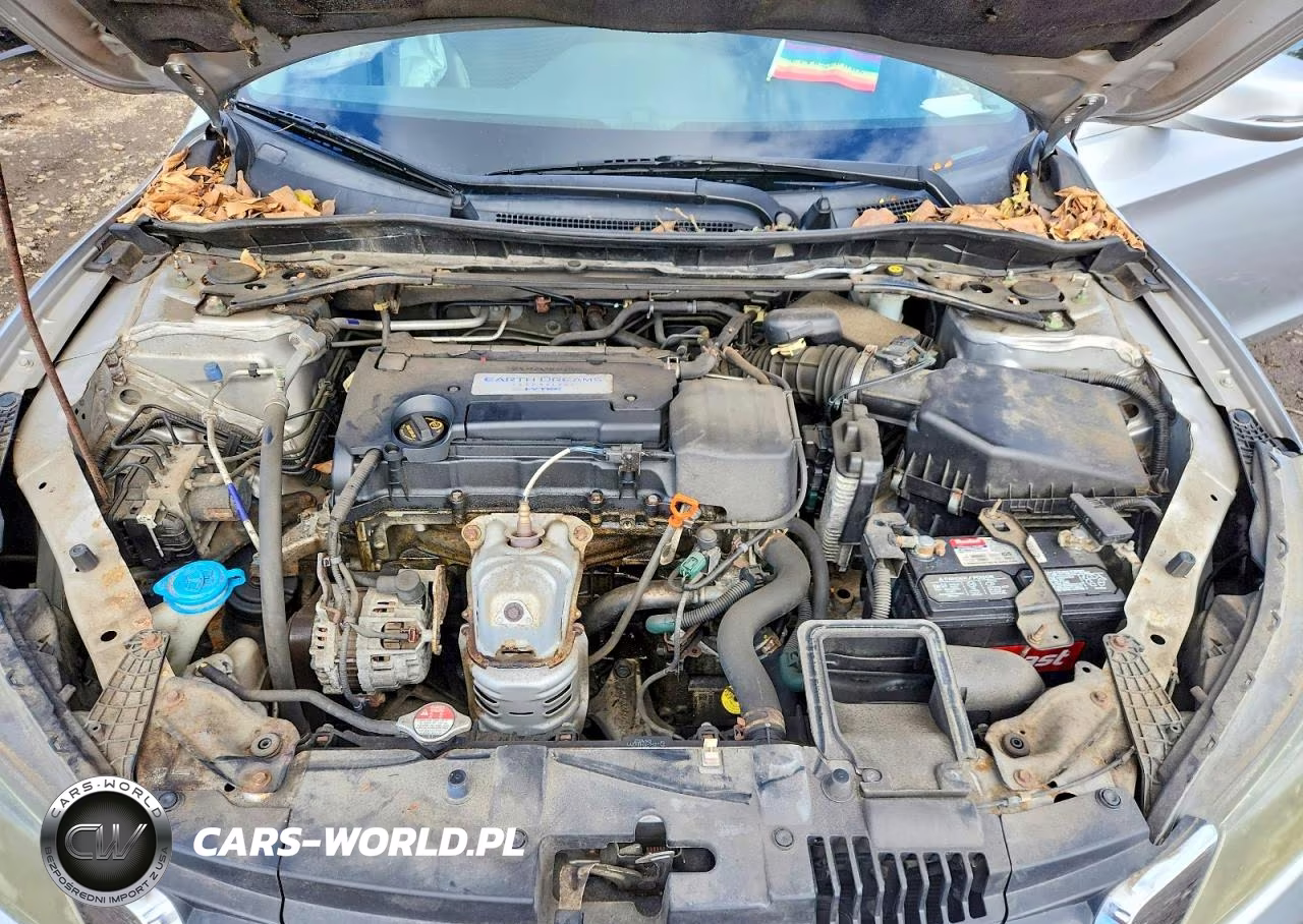 2014 Honda Accord Ex VIN:1HGCR2F71EA119567 - 11