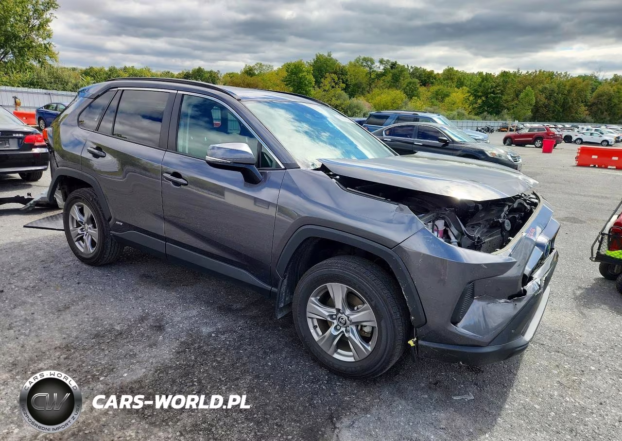 2024 Toyota Rav4 Hybrid Xle VIN:4T3RWRFV0RU129507 - 4