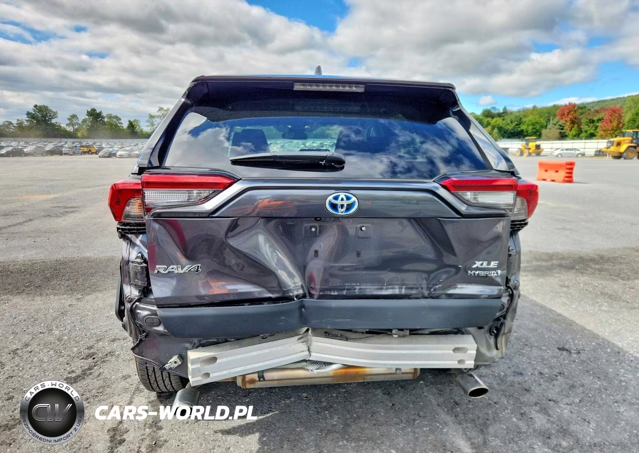 2024 Toyota Rav4 Hybrid Xle VIN:4T3RWRFV0RU129507 - 6